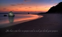 you have come here on purpose and as such you decide your purpose