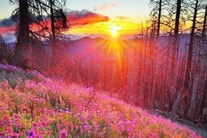 hillside